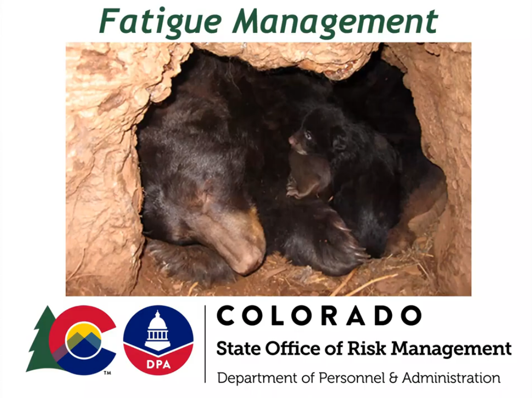 Fatigue Management text next to bears sleeping in cave